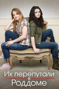 Смотреть Их перепутали в роддоме (2011) онлайн